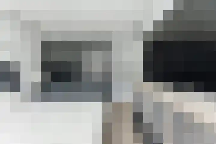't Zwaantje 3 Ridderkerk thumbnail 24