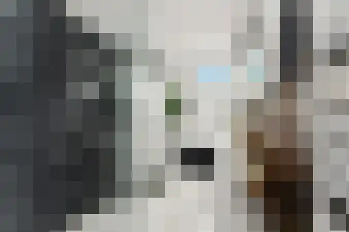 't Zwaantje 3 Ridderkerk thumbnail 25