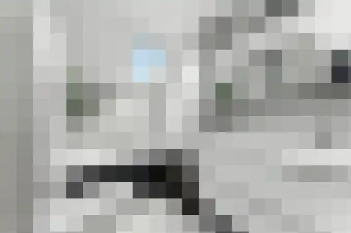 't Zwaantje 3 Ridderkerk thumbnail 26
