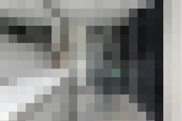 't Zwaantje 3 Ridderkerk thumbnail 27