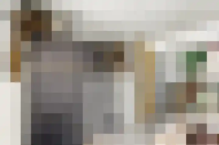 't Zwaantje 3 Ridderkerk thumbnail 29