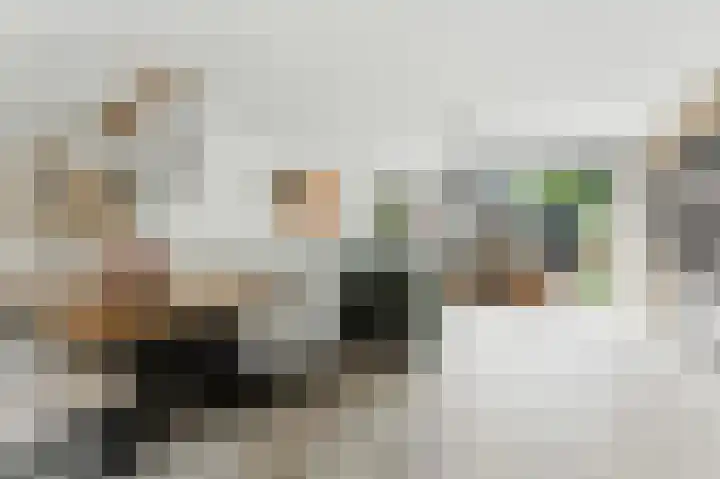 't Zwaantje 3 Ridderkerk foto 3