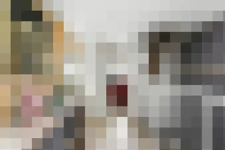 't Zwaantje 3 Ridderkerk thumbnail 30