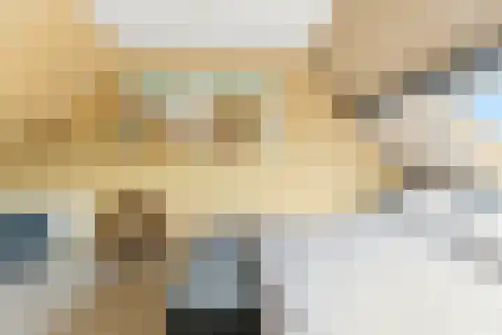 't Zwaantje 3 Ridderkerk thumbnail 31