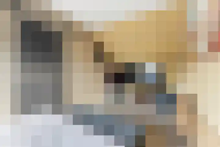 't Zwaantje 3 Ridderkerk thumbnail 33