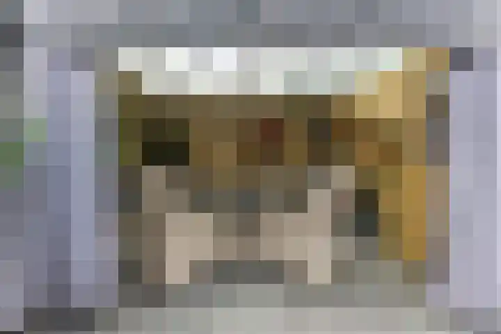 't Zwaantje 3 Ridderkerk thumbnail 37