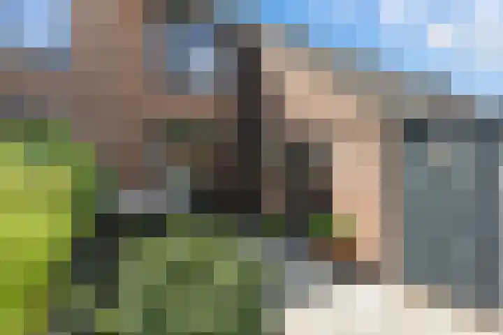 't Zwaantje 3 Ridderkerk thumbnail 41
