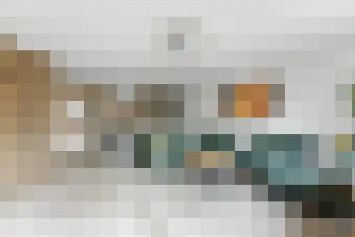 't Zwaantje 3 Ridderkerk thumbnail 5