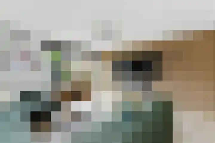 't Zwaantje 3 Ridderkerk thumbnail 7