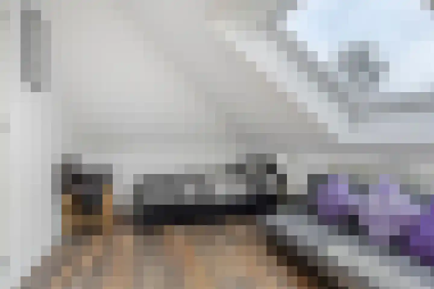 't Zwarte Wegje 19 Soesterberg thumbnail 18