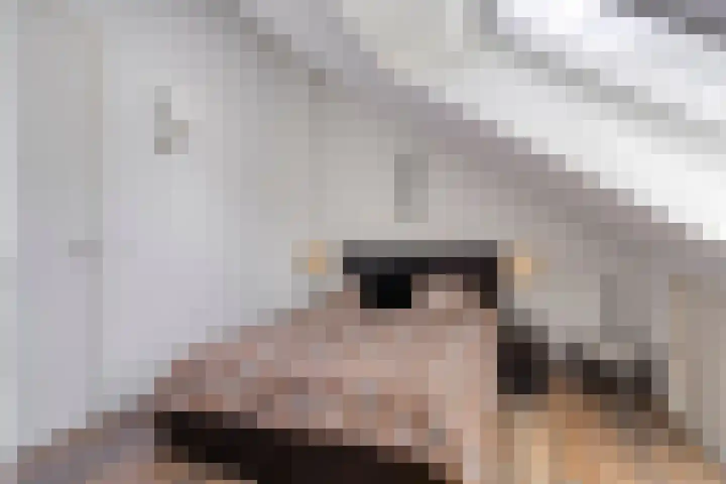 't Zwarte Wegje 19 Soesterberg thumbnail 19