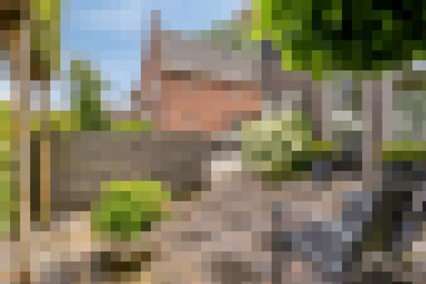 't Zwarte Wegje 19 Soesterberg thumbnail 26
