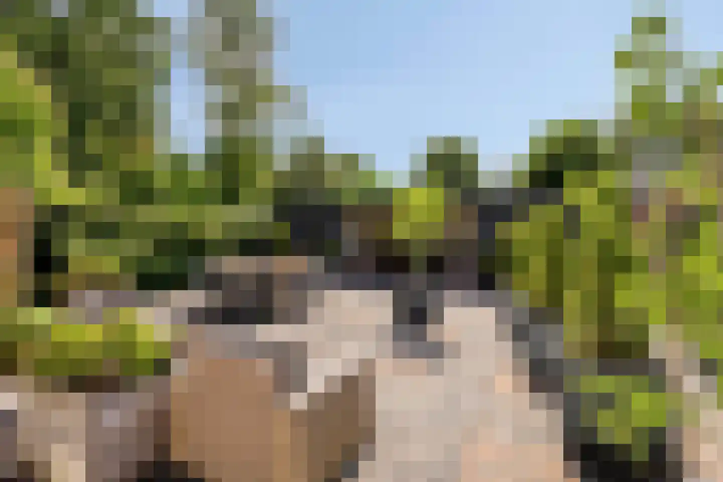 't Zwarte Wegje 19 Soesterberg thumbnail 5