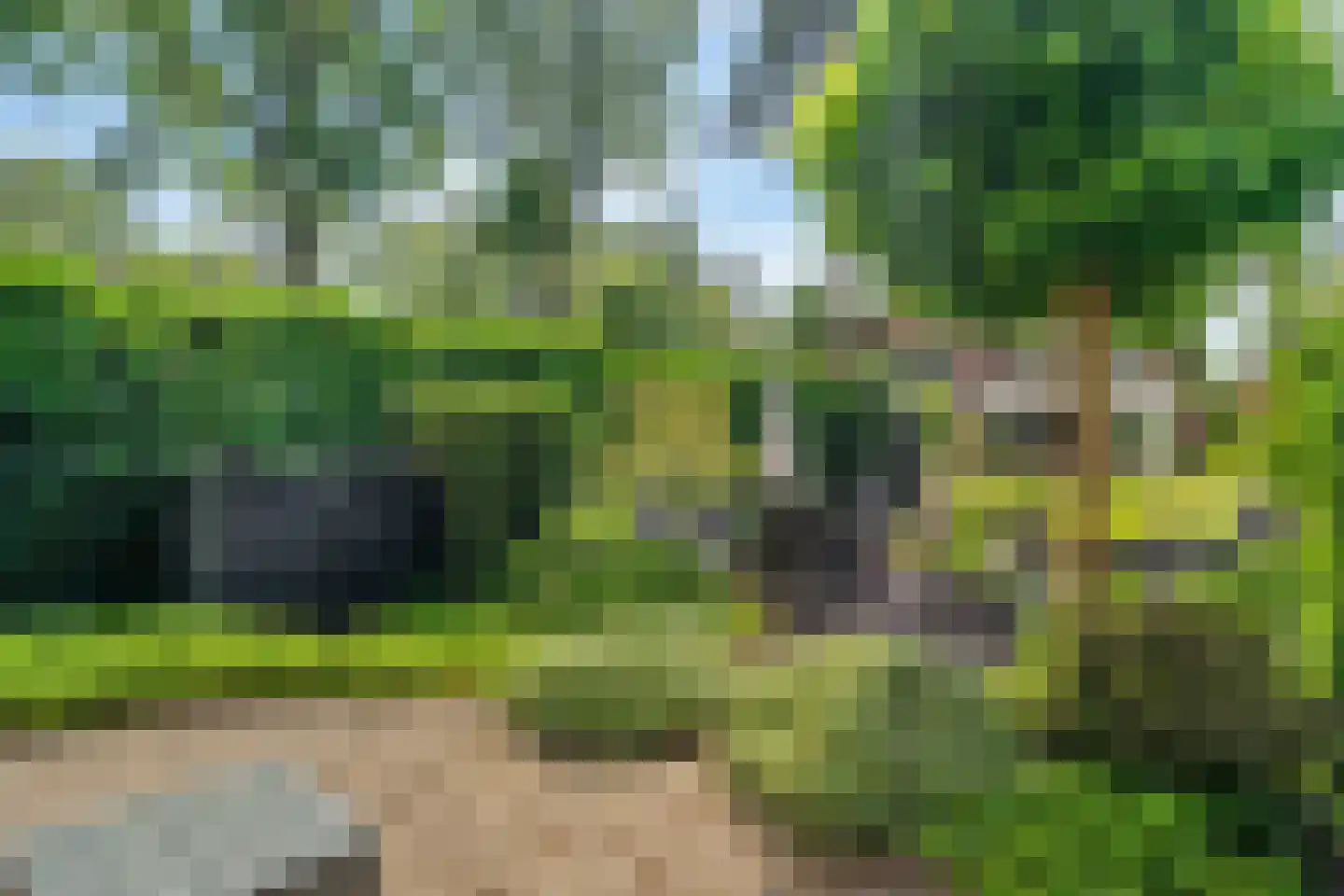 't Zwarte Wegje 2 A Soesterberg thumbnail 13