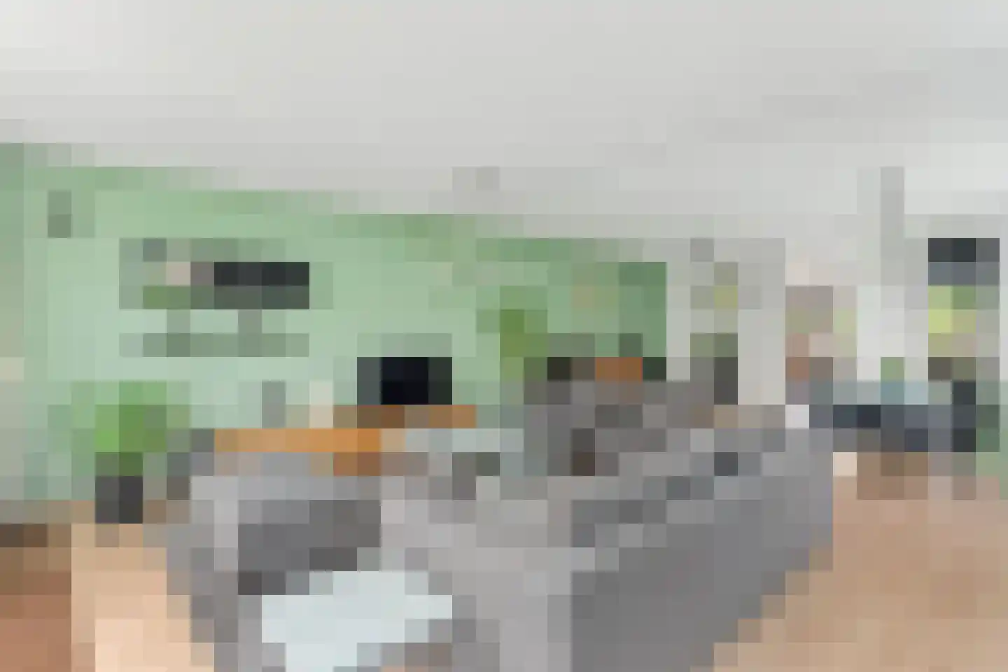 't Zwarte Wegje 2 A Soesterberg thumbnail 15