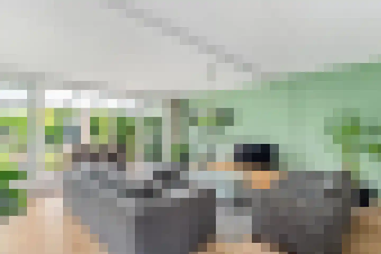 't Zwarte Wegje 2 A Soesterberg thumbnail 16