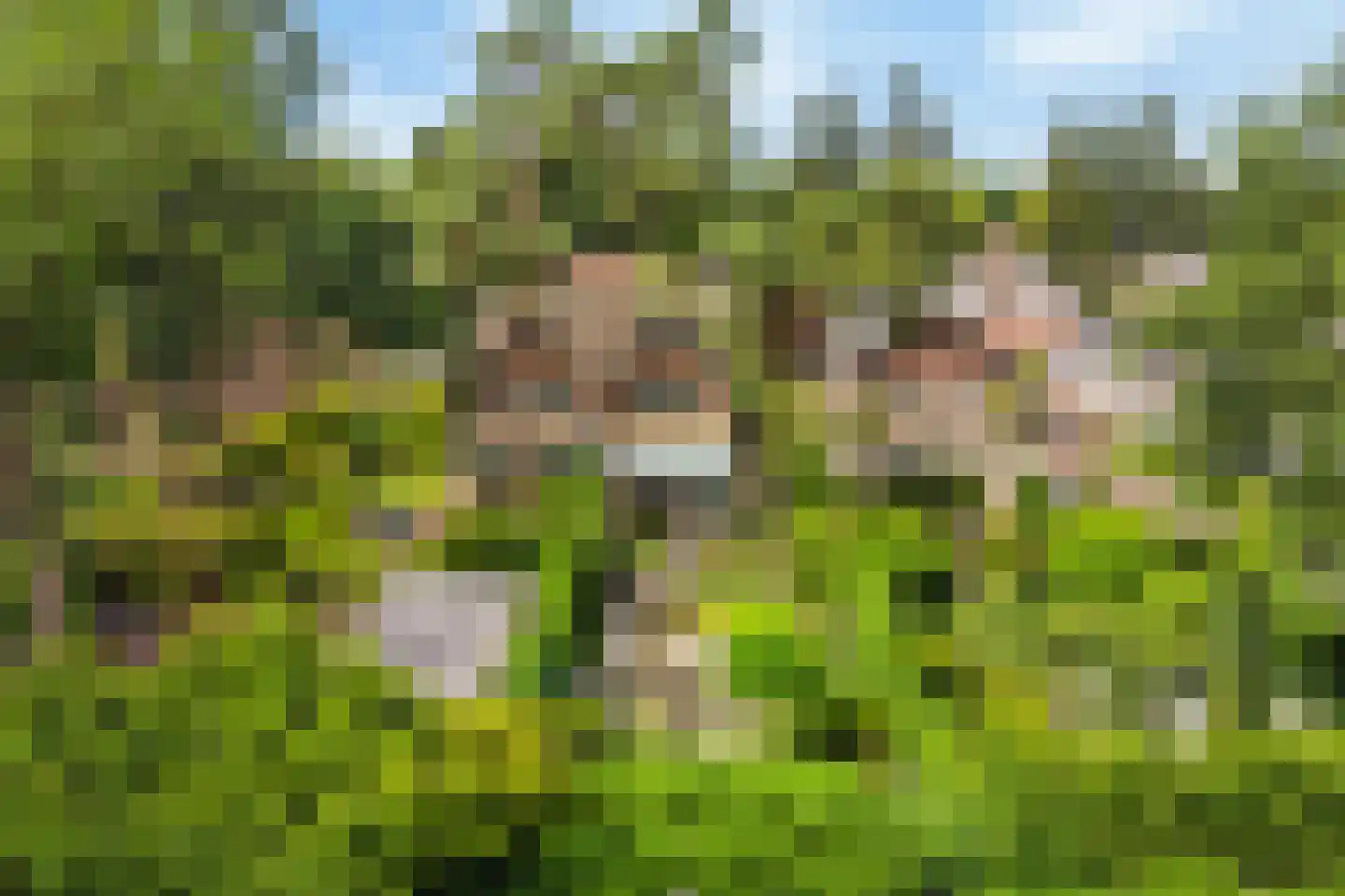 't Zwarte Wegje 2 A Soesterberg foto 2