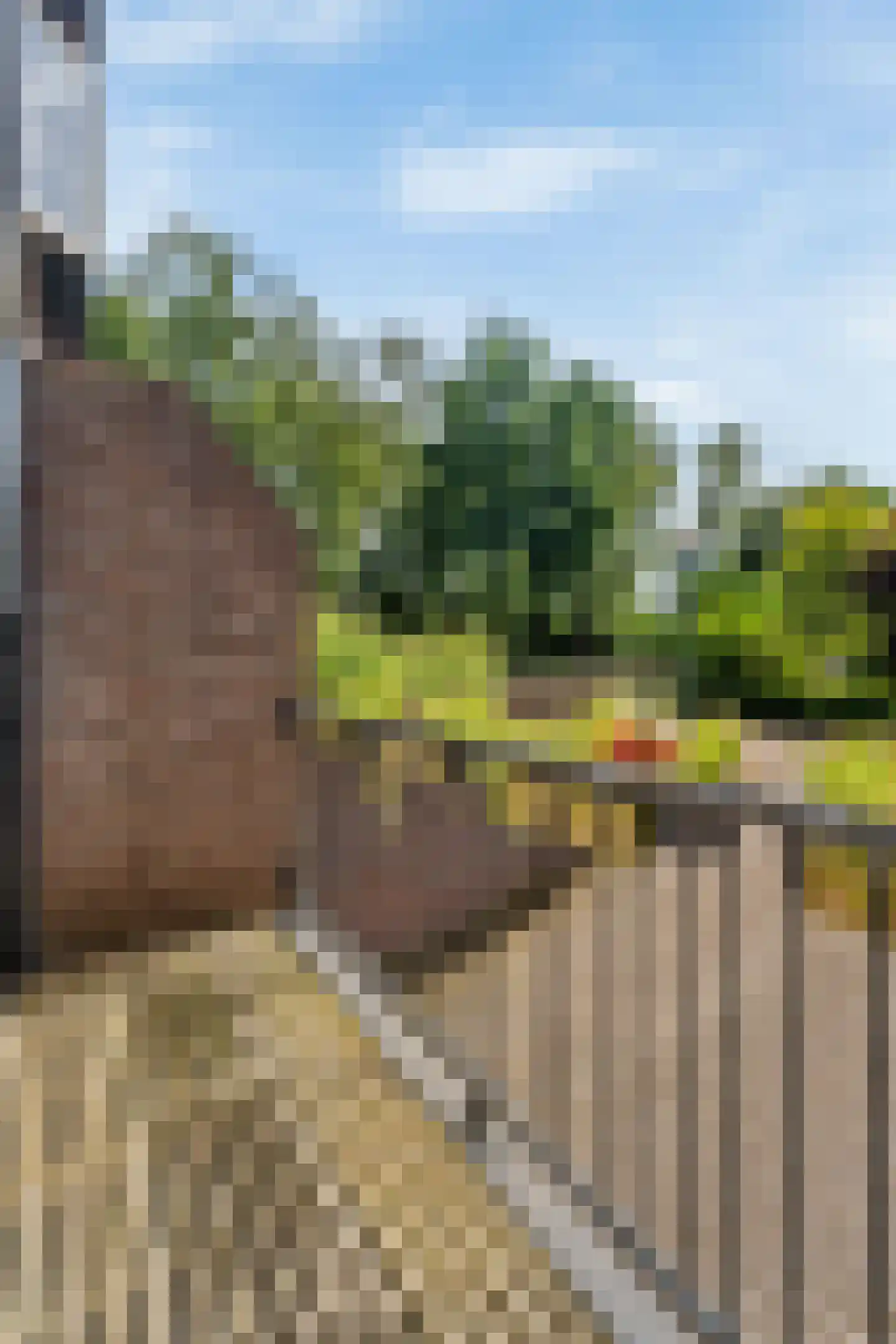't Zwarte Wegje 2 A Soesterberg thumbnail 22