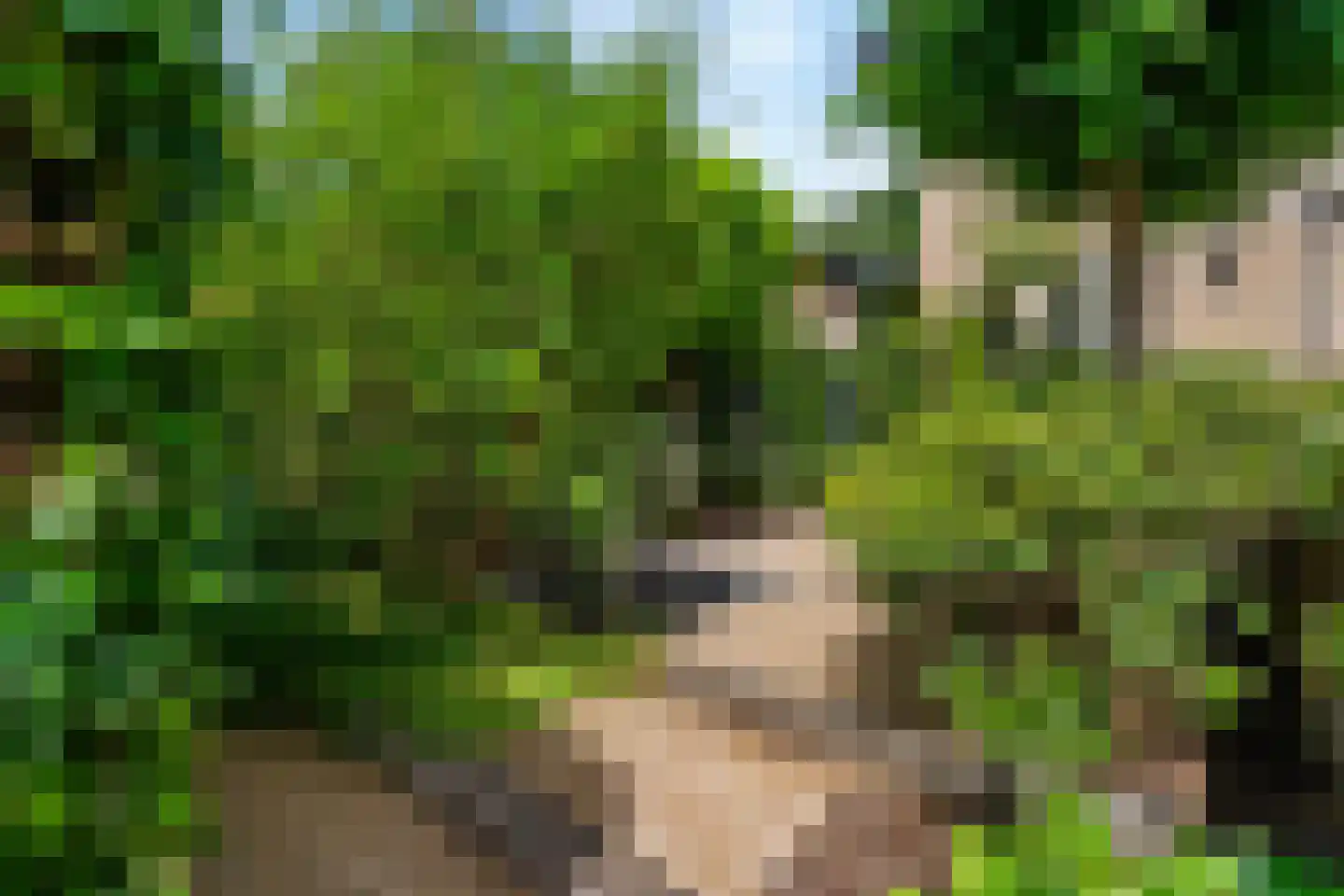 't Zwarte Wegje 2 A Soesterberg thumbnail 4