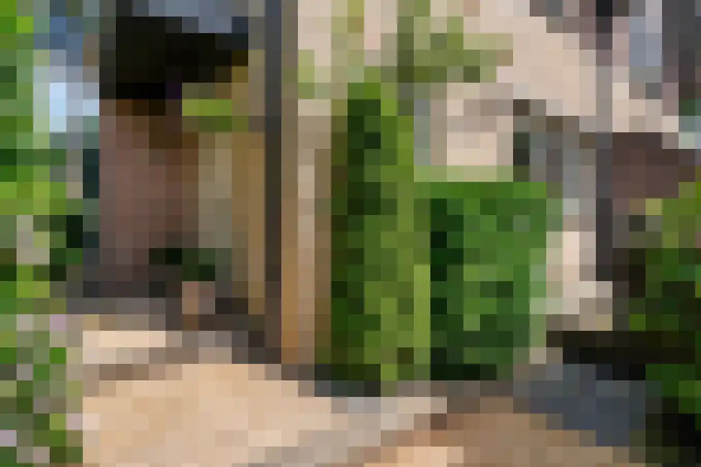 't Zwarte Wegje 2 A Soesterberg thumbnail 5