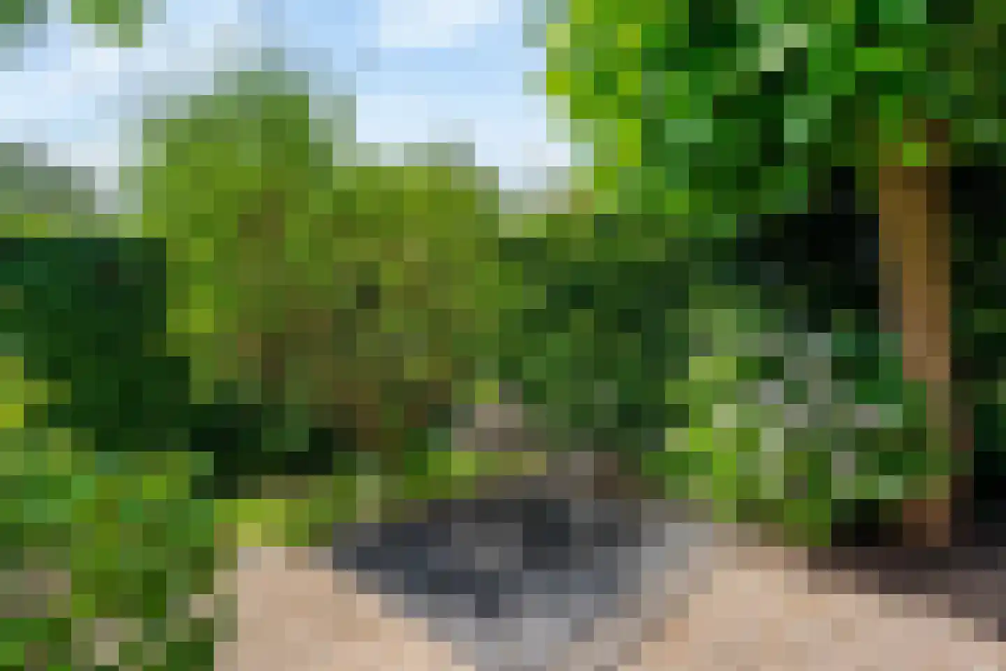 't Zwarte Wegje 2 A Soesterberg thumbnail 6