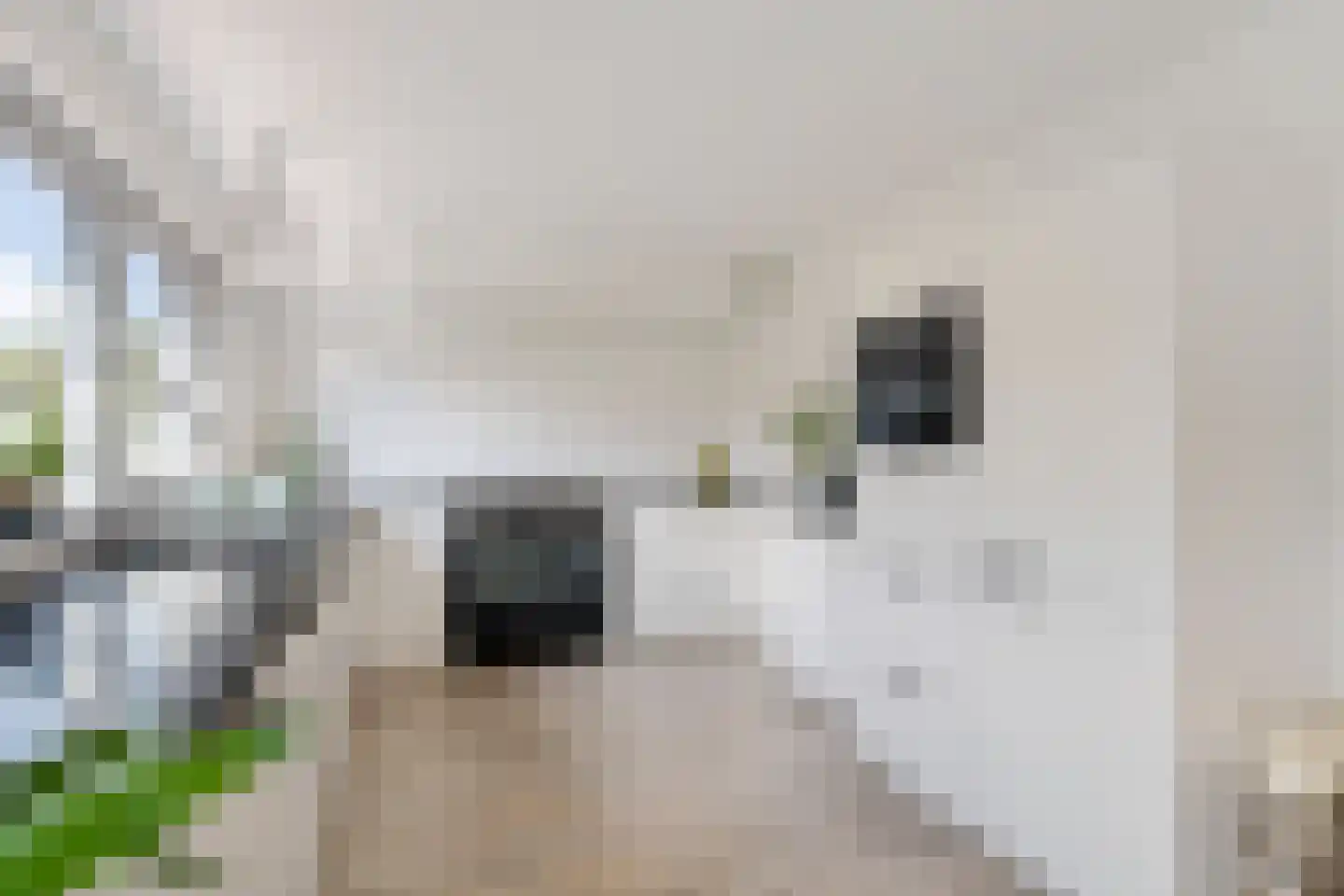 't Zwarte Wegje 2 C Soesterberg thumbnail 20