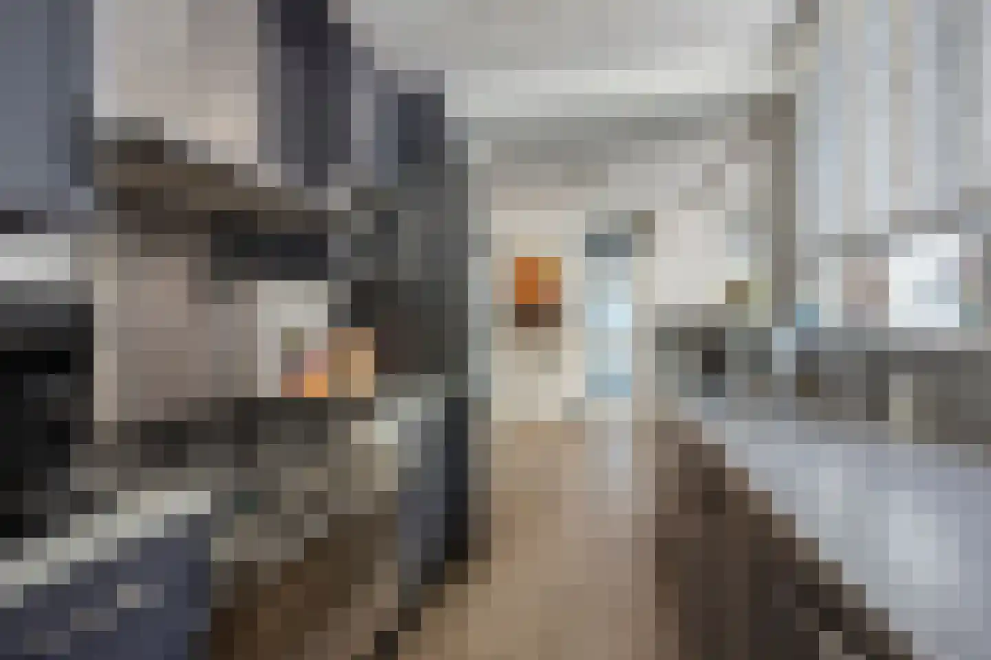 Taag 13 Amstelveen thumbnail 14