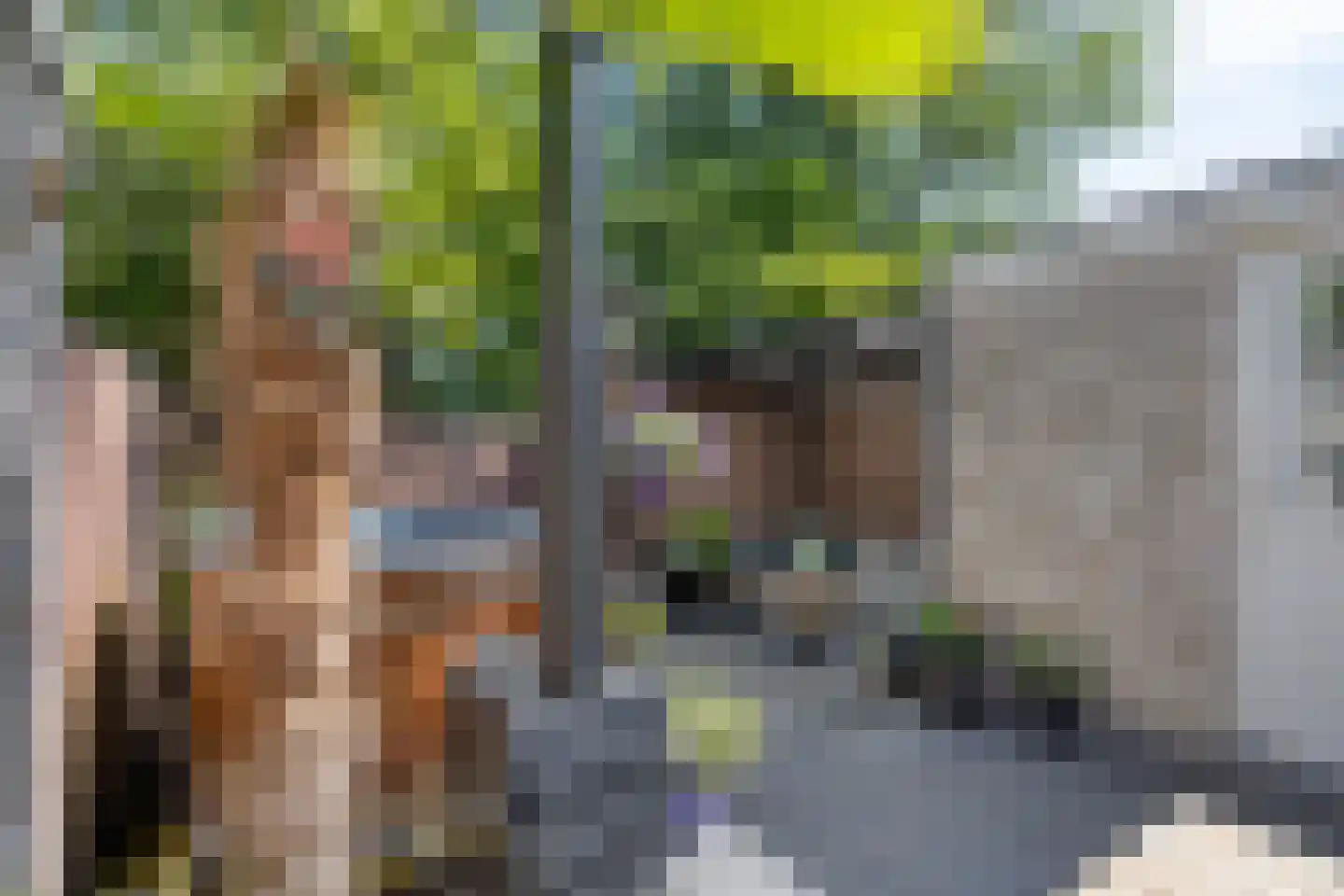 Taag 13 Amstelveen thumbnail 20