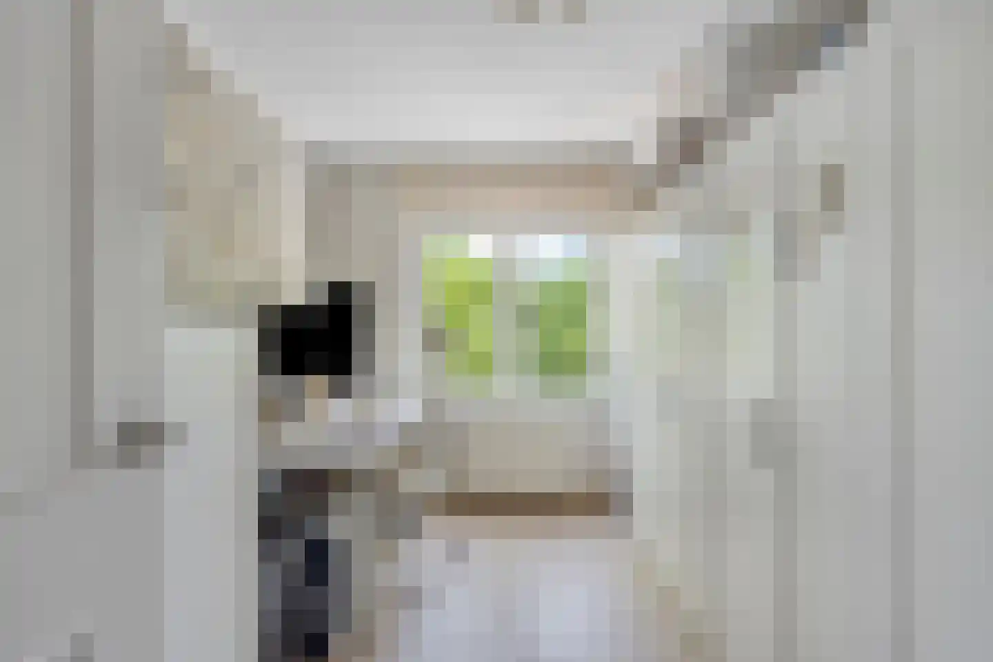 Taag 13 Amstelveen thumbnail 26
