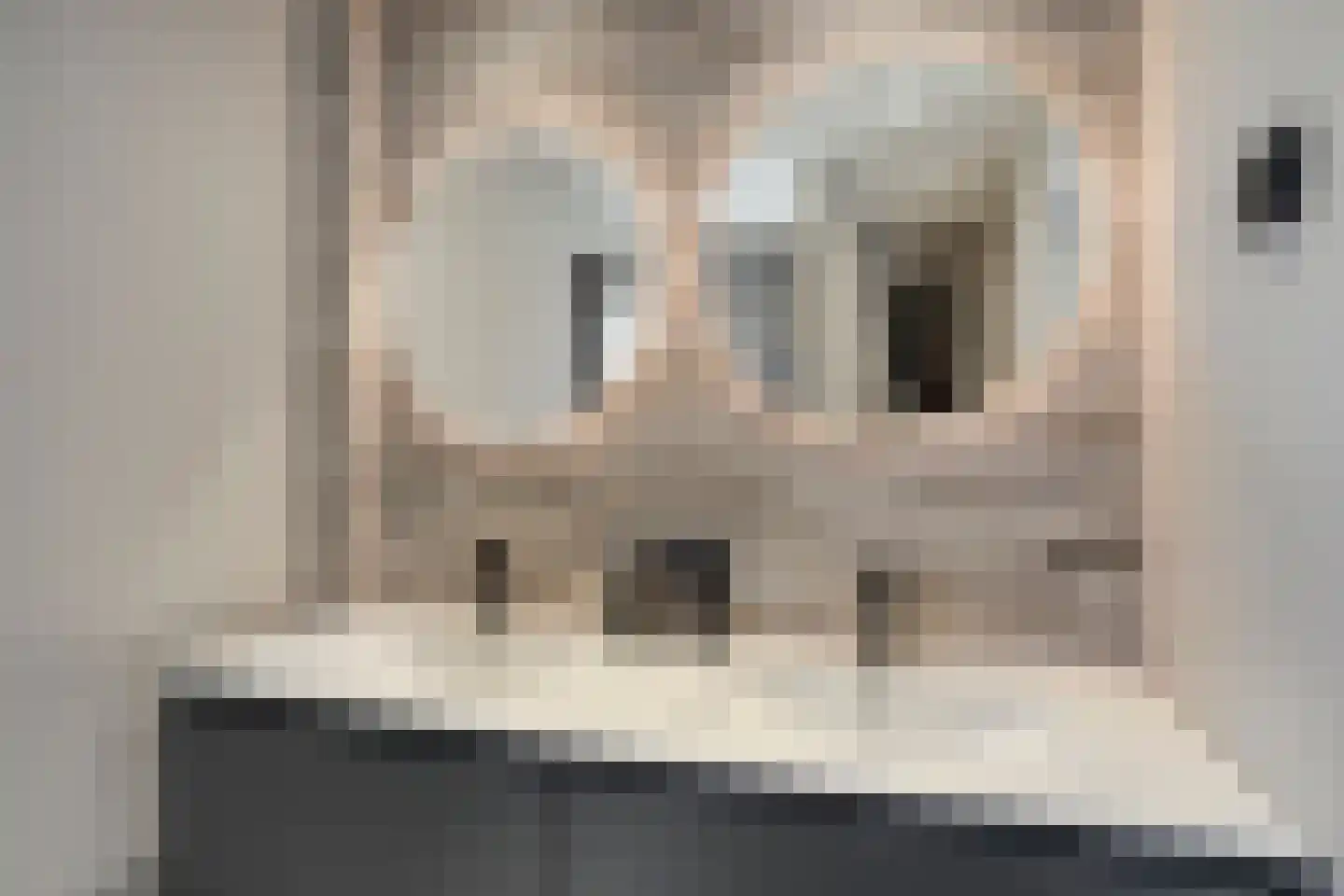 Taag 13 Amstelveen thumbnail 29