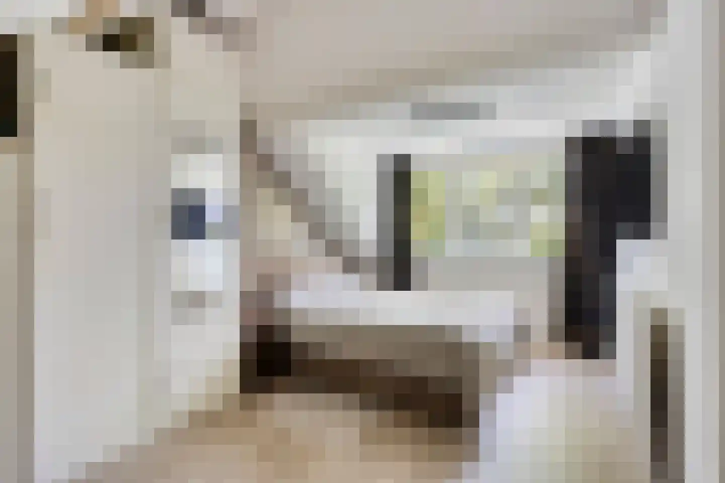 Taag 13 Amstelveen thumbnail 32