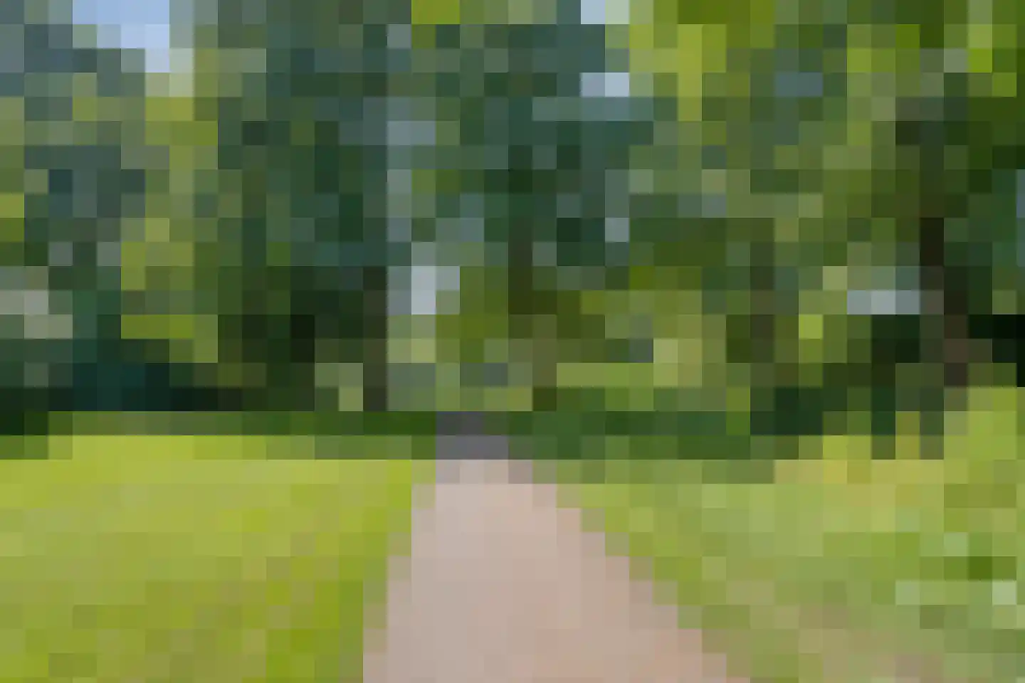 Taag 13 Amstelveen thumbnail 49