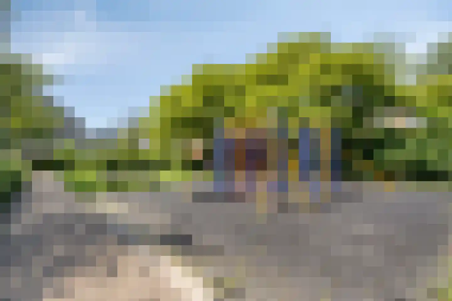 Taag 13 Amstelveen thumbnail 52