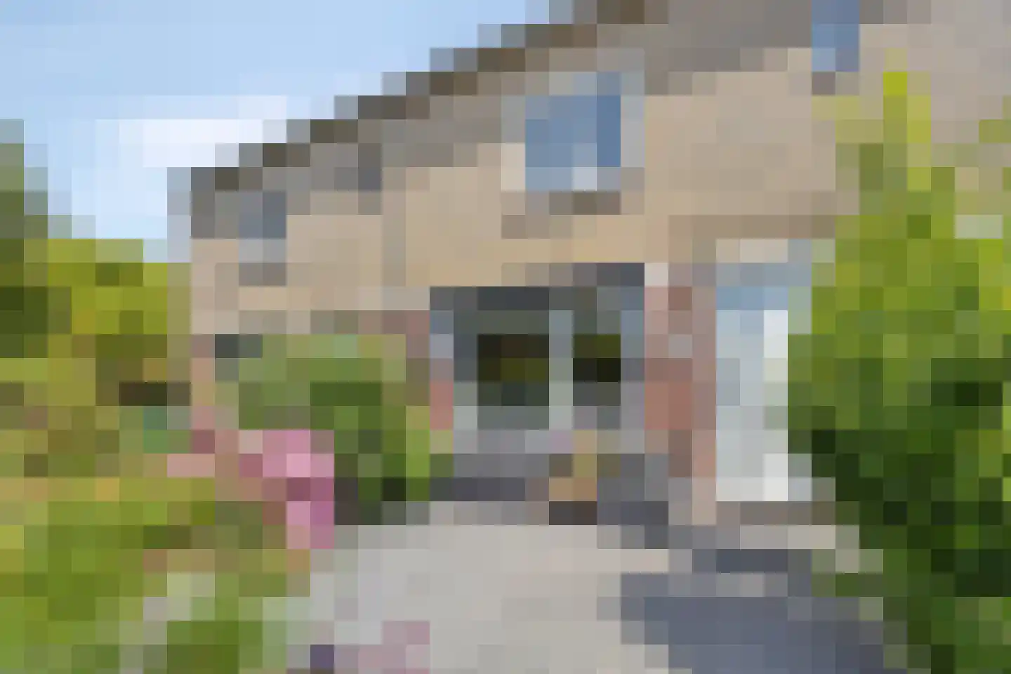Taag 13 Amstelveen thumbnail 6