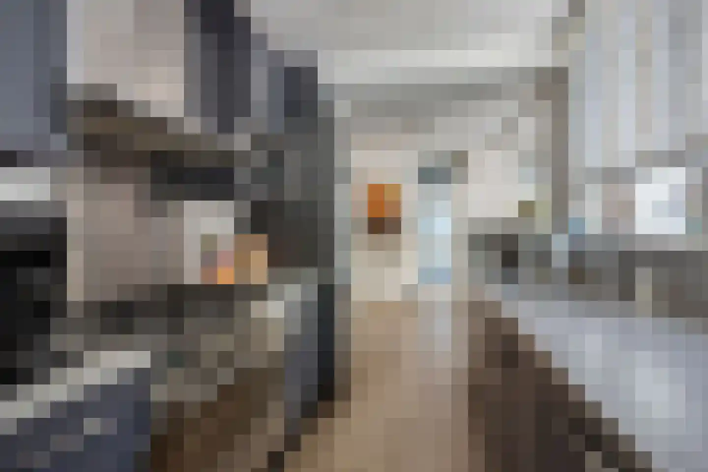 Taag 13 Amstelveen thumbnail 8