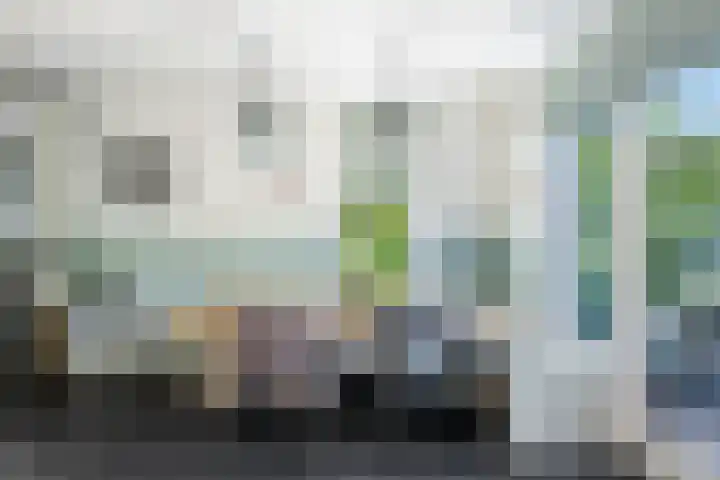 Taag 3 Nieuwerkerk aan den IJssel thumbnail 12