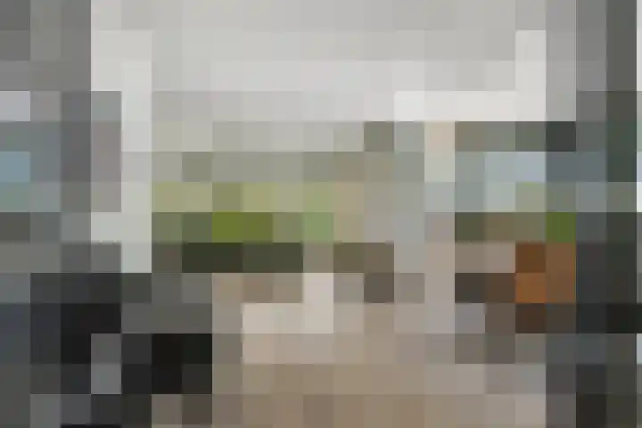 Taag 3 Nieuwerkerk aan den IJssel thumbnail 16