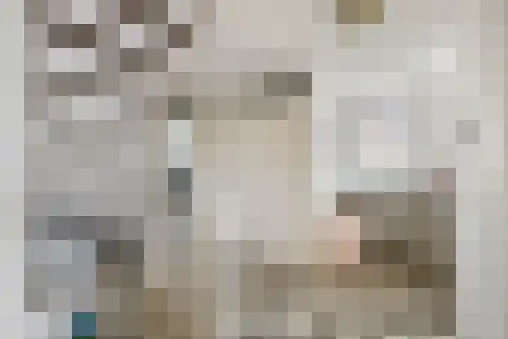 Taag 3 Nieuwerkerk aan den IJssel thumbnail 19