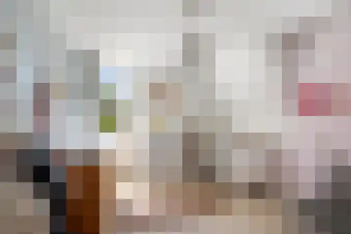 Taag 3 Nieuwerkerk aan den IJssel thumbnail 22