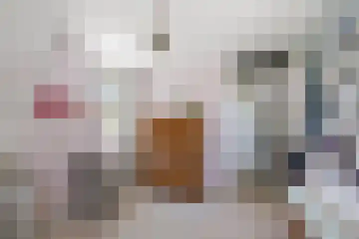 Taag 3 Nieuwerkerk aan den IJssel thumbnail 23
