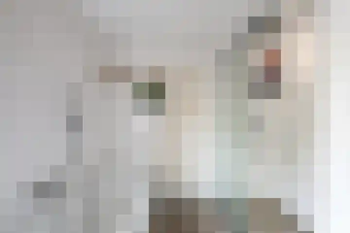 Taag 3 Nieuwerkerk aan den IJssel thumbnail 26