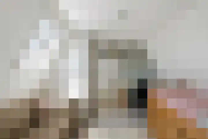 Taag 3 Nieuwerkerk aan den IJssel thumbnail 29