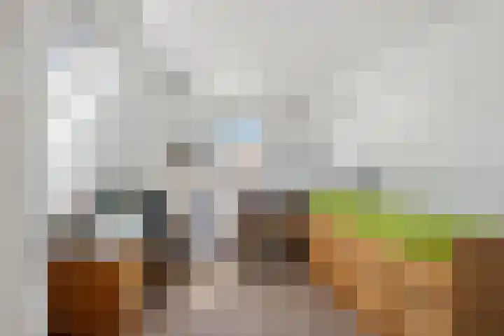 Taag 3 Nieuwerkerk aan den IJssel thumbnail 30