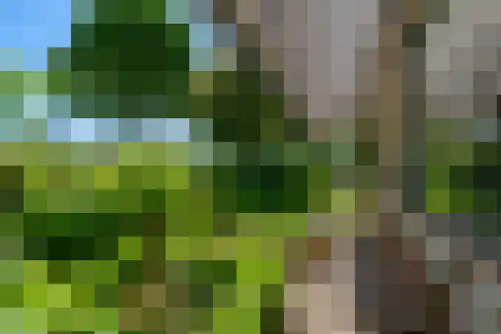 Taag 3 Nieuwerkerk aan den IJssel thumbnail 34