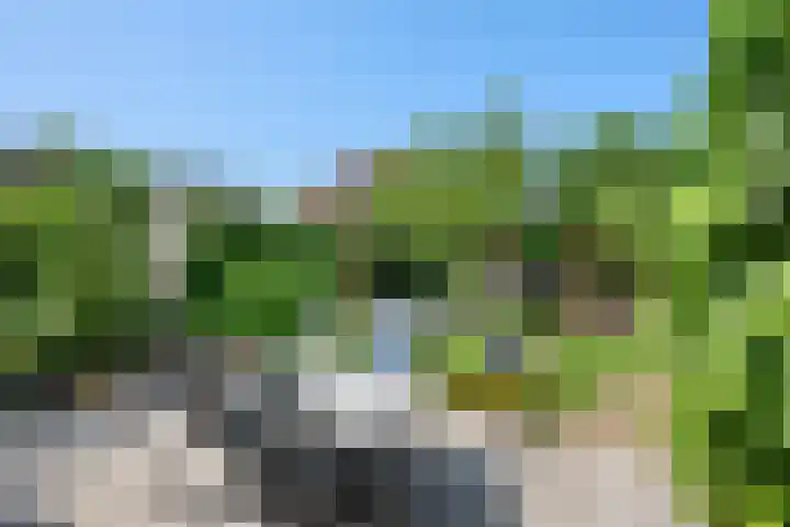 Taag 3 Nieuwerkerk aan den IJssel thumbnail 36