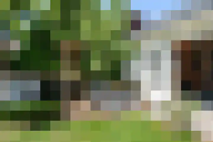 Taag 3 Nieuwerkerk aan den IJssel thumbnail 37
