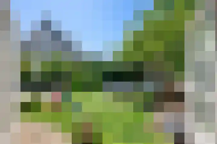 Taag 3 Nieuwerkerk aan den IJssel thumbnail 38