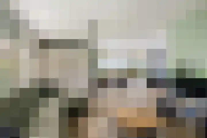 Taag 3 Nieuwerkerk aan den IJssel thumbnail 4