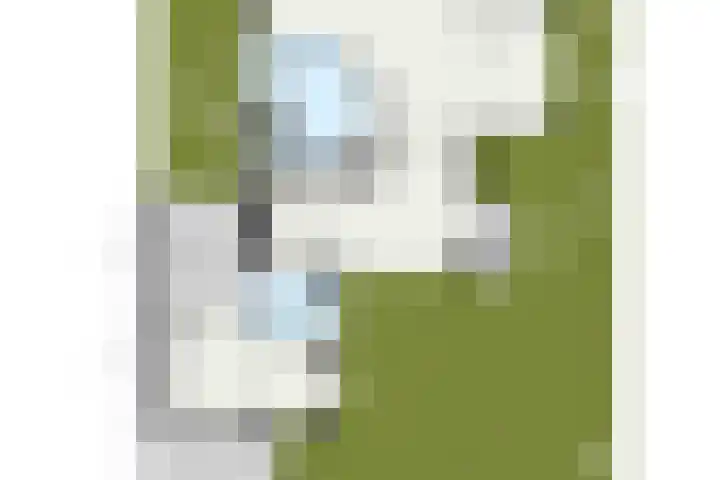 Taag 3 Nieuwerkerk aan den IJssel thumbnail 45
