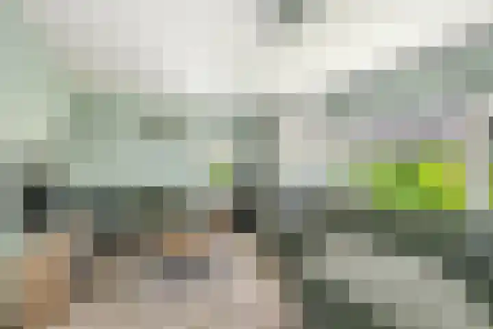 Taag 3 Nieuwerkerk aan den IJssel thumbnail 6